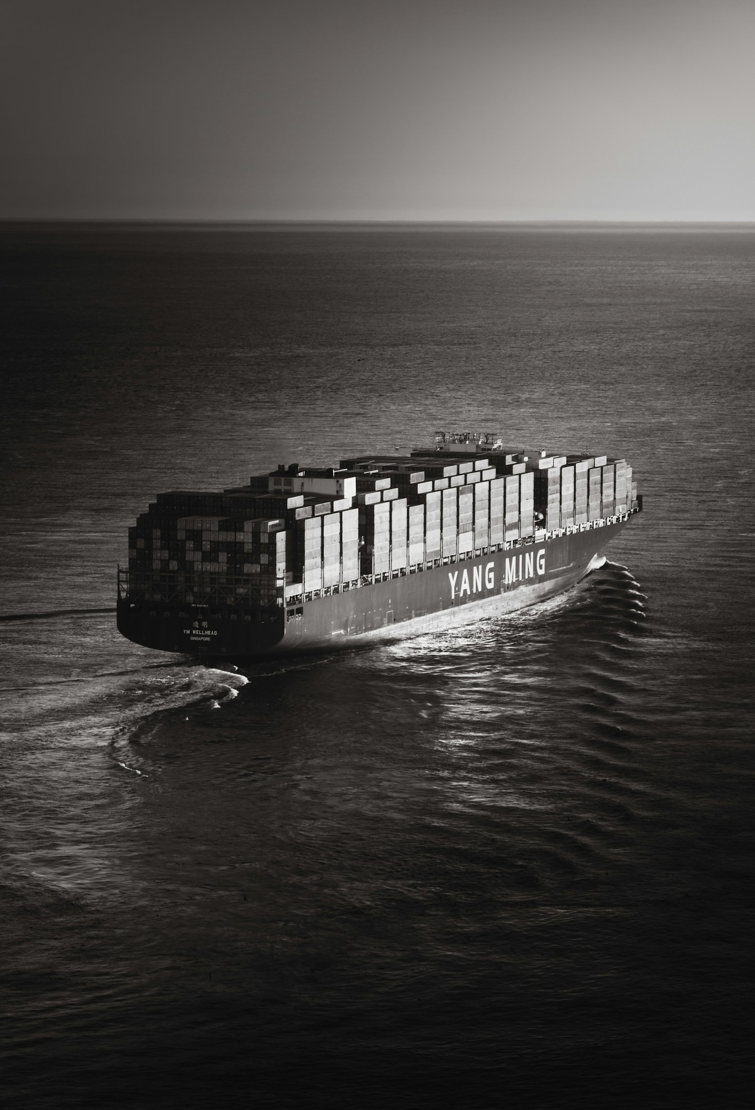 The Vital Role of RoRo Vessels in Philippine Transportation